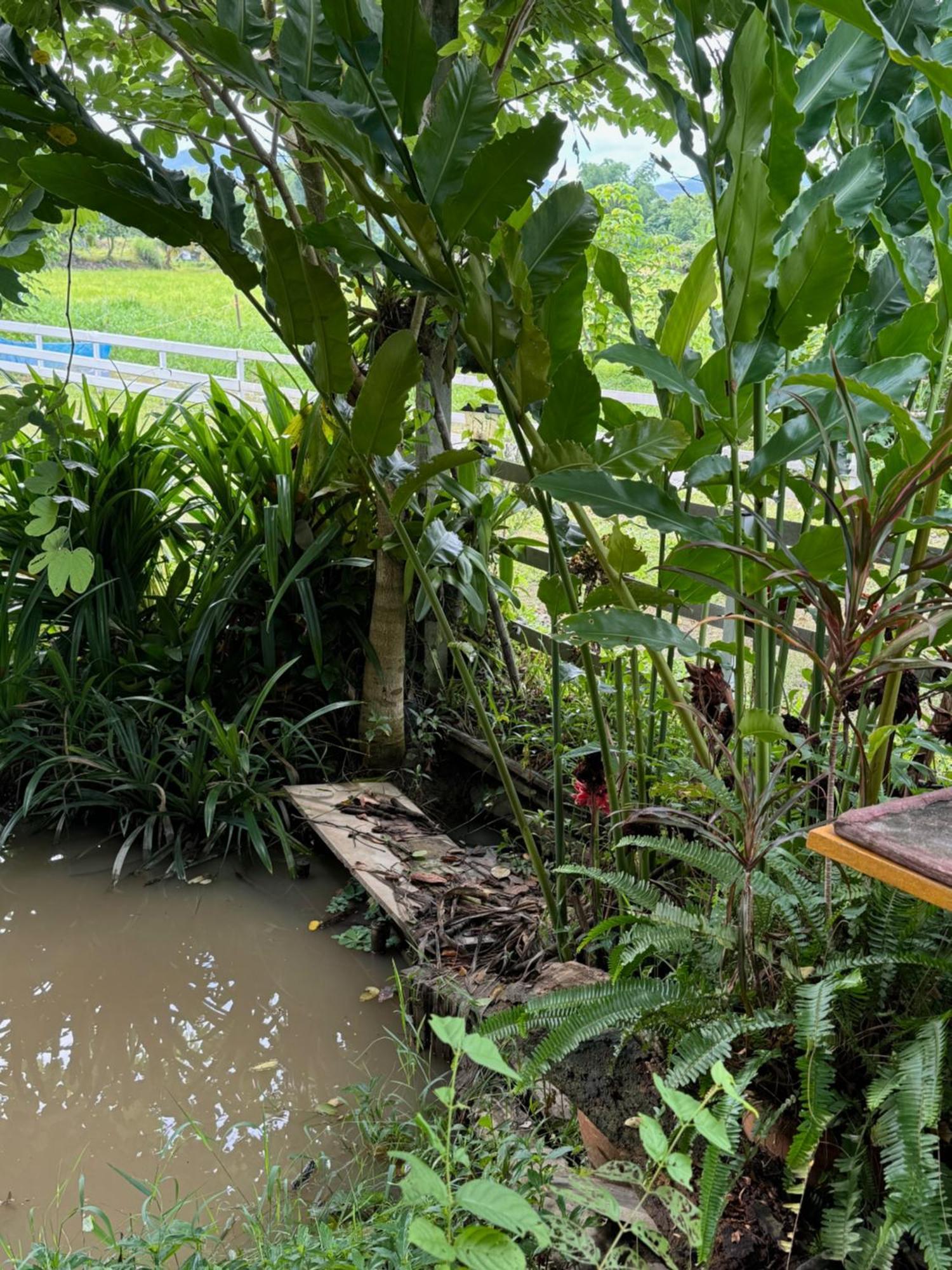 Rai Boonsom Apartment Phrao Luaran gambar