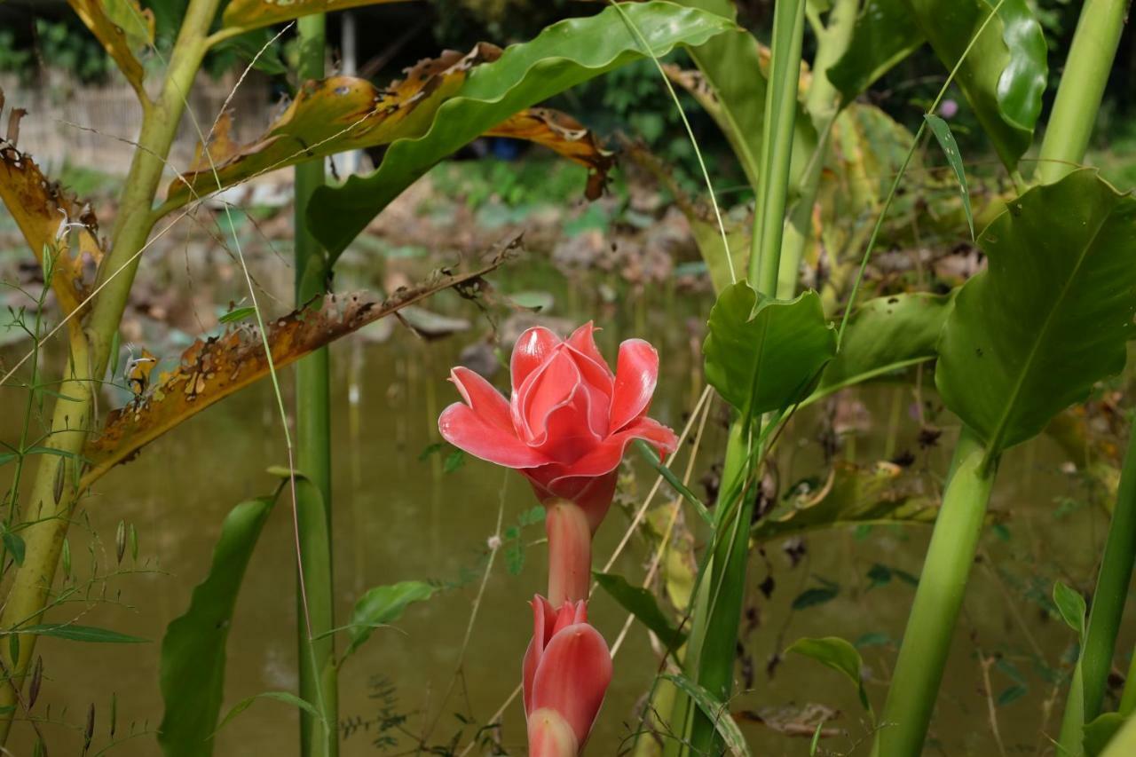 Rai Boonsom Apartment Phrao Luaran gambar